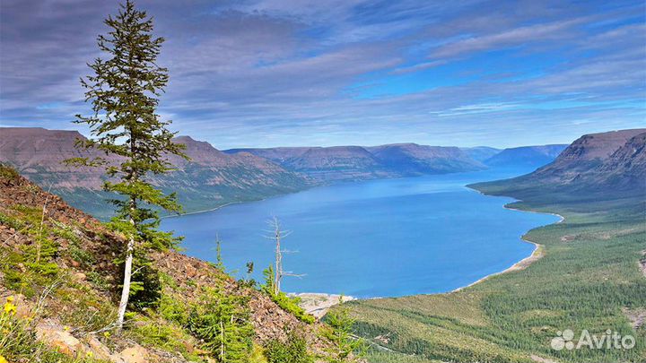 Повар универсал