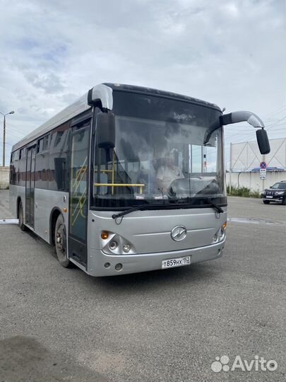 Водитель автобуса категории д