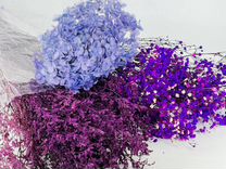 Стабилизированные цветы фиолетовые сиреневые