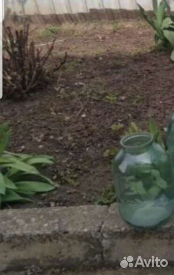 Банка стеклянная 3л