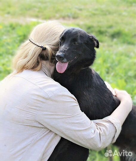 Прекрасная собачка Черри ищет дом