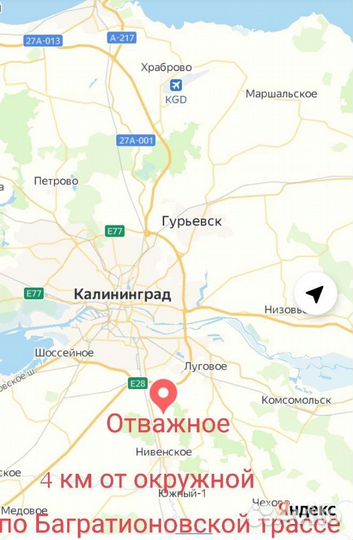 Роза Леонардо до Винчи ред флорибунда