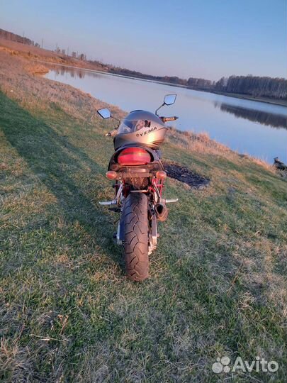 Suzuki GSF 250 Bandit