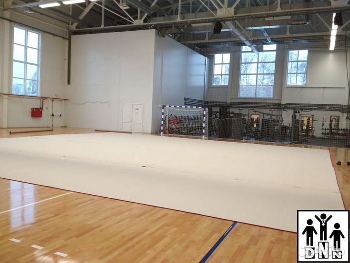 Ковёр для художественной гимнастики тренировочный