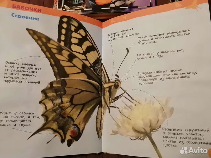 Книги, энциклопедии, интересные