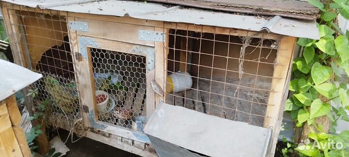 Клетки для кроликов бу