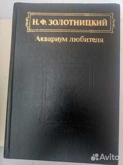 Д.Стефен и Д.Локи 