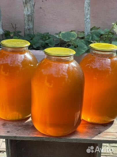 Мед лечебный