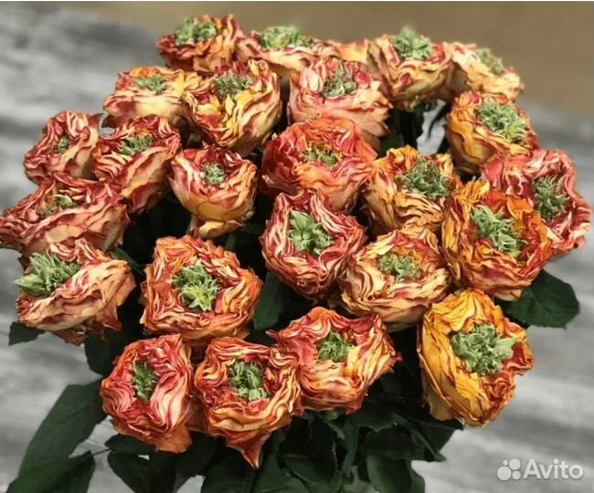 Роза Флеш Ай саженцы