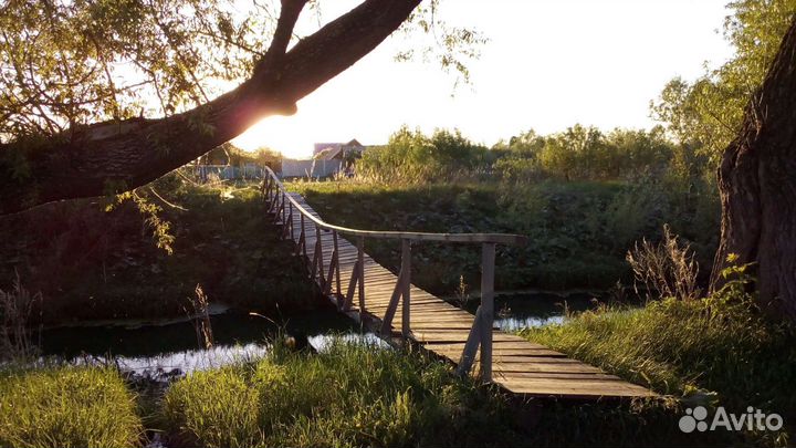 Сатсанг (проводник в Дзен)