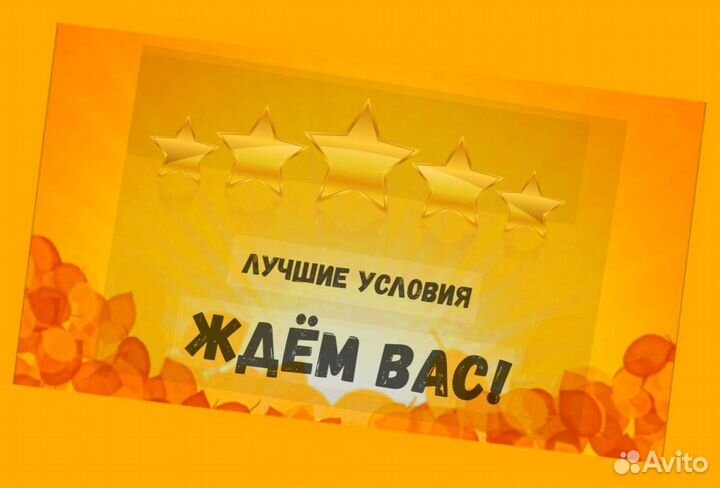 Наборщик заказов Без опыта Еженедельные выплаты