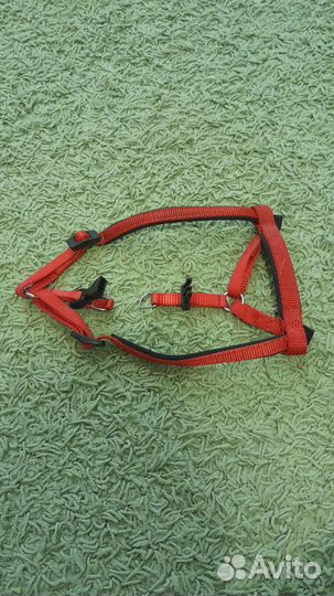 Подгузники для собак и шлейфа размера S