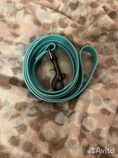 Амуниция для собак (описание)