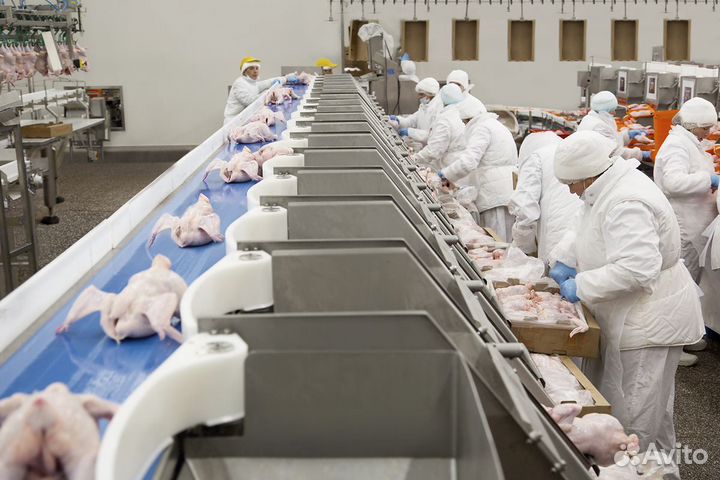 Работа для мужчин и женщин.Рабочий на птицефабрику