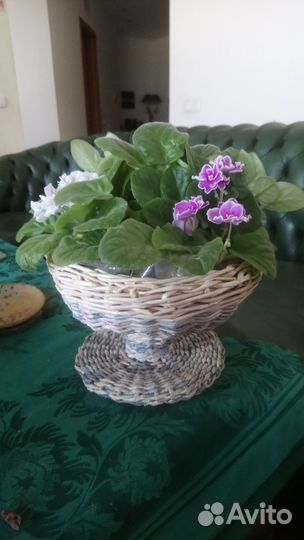 Композиция из фиалок в плетеной вазе