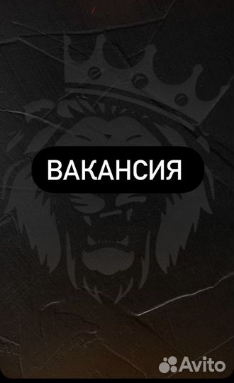 Продавец консультант