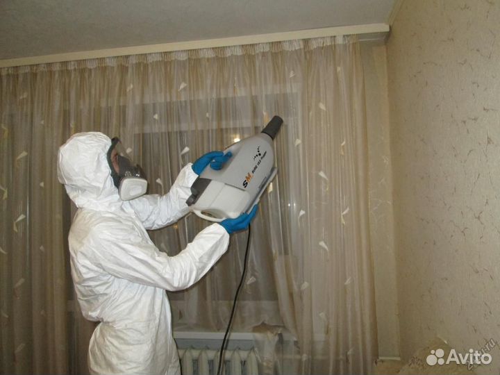 Уничтожение Клопов Тараканов Блох Ос Плесени Мышей