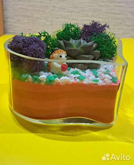 Флорариум- букет подарок