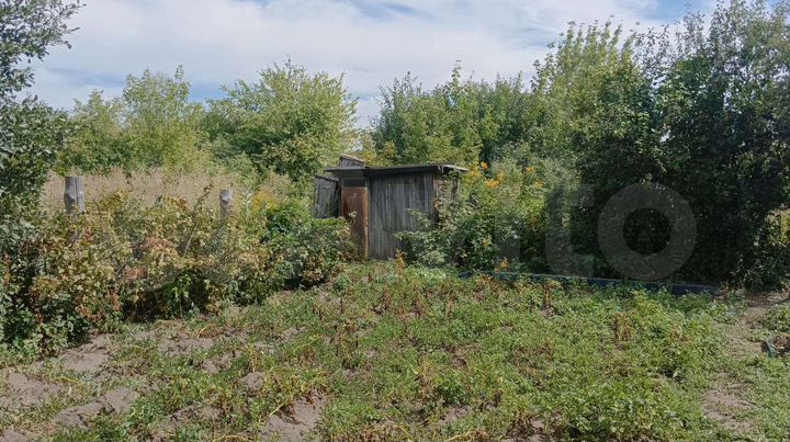 Участок 6 сот. (СНТ, ДНП)