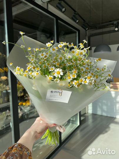 Живые цветы букеты