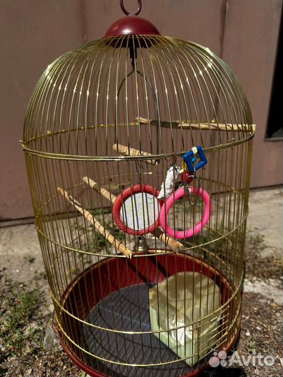 Большая клетка для птиц