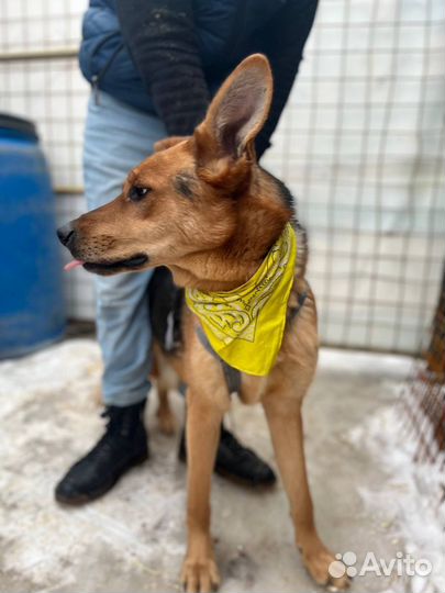 Симпатяга Брюс ждёт вас