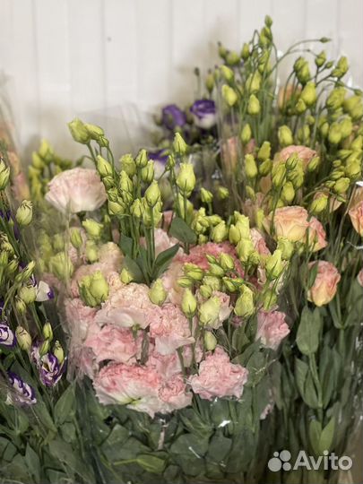 Лизиантус оптом и в розницу