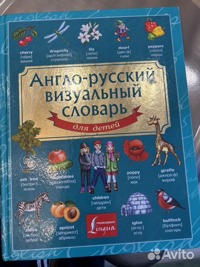 Англо-русский визуальный словарь для детей