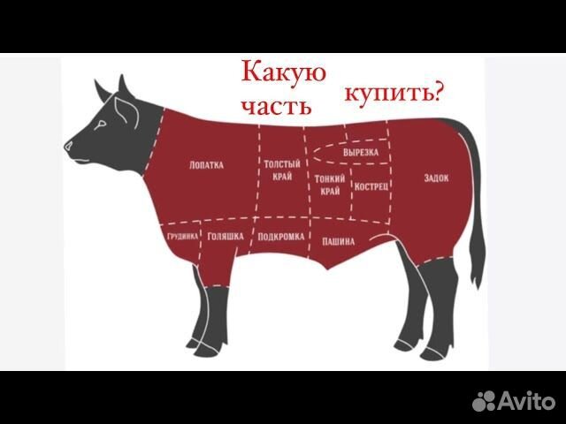 Рибай на кости