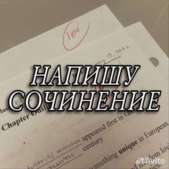 Напишу сочинение по литературе, русскому языку
