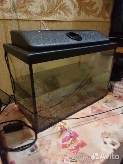 Аквариум 20л, анубиас, коряги, грунт