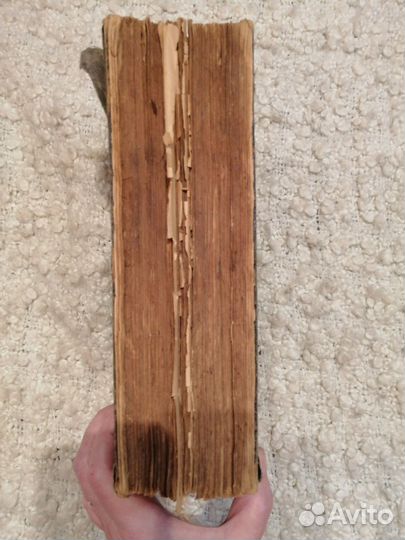 Е. Молоховец. Подарок молодым хозяйкам. 1917