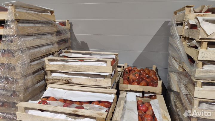 Хурма оптом