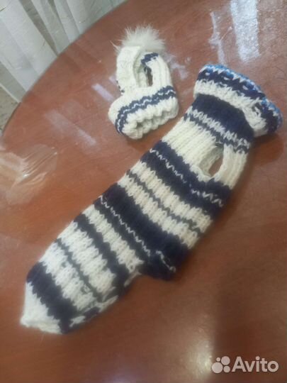 Одежда для собак