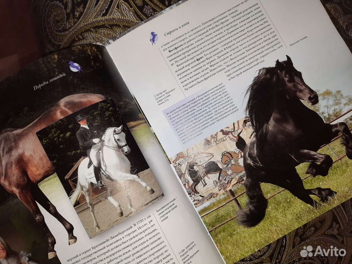 Большая книга о лошадях