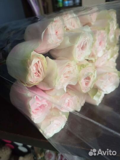 Свежие розы, Премиум розы из Эквадора