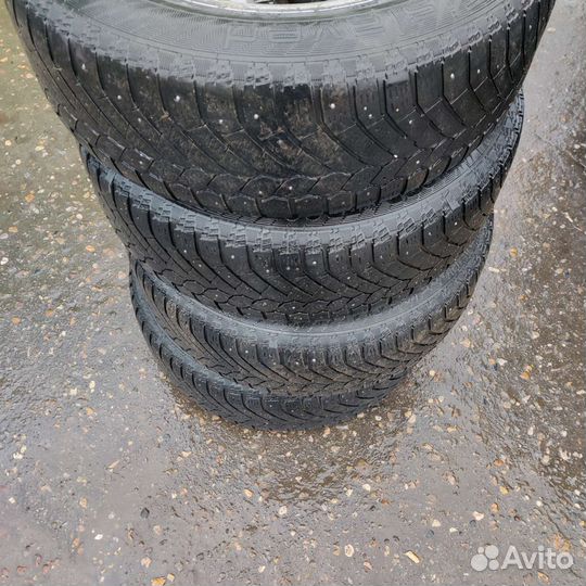 Gislaved Nord Frost 200 195/65 R15 95T