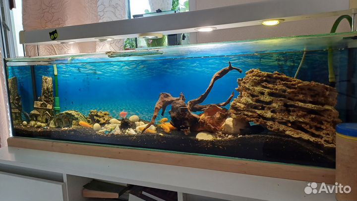 Аквариум с тумбой,рыбами и внешним фильтром eheim