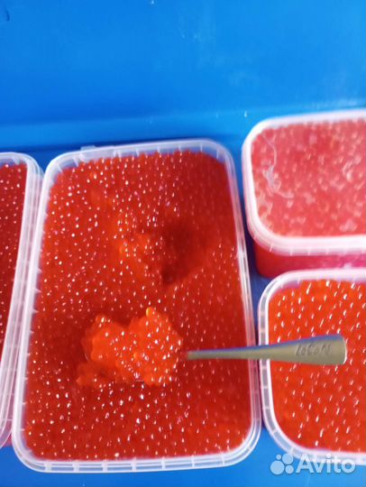 Икра Красная Кеты и Чавычи за 1 кг - 2500 (1 сорт)