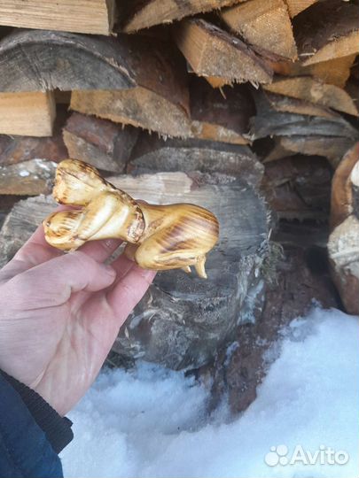 Корнепластика