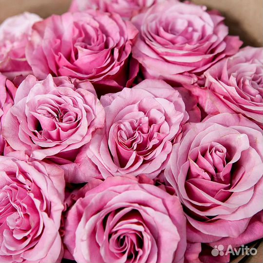 Розы 31/51/101/201 Киров букеты