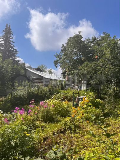 Дом 78 м² на участке 12 сот.