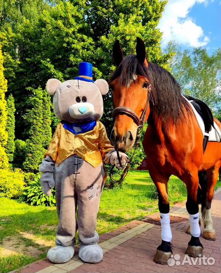 Белый мишка