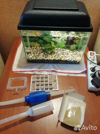 Аквариум с рыбками