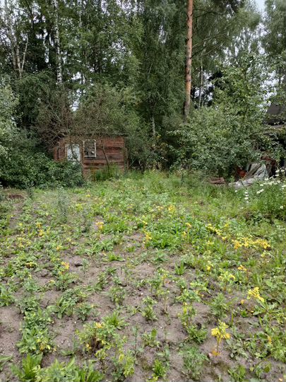 Участок 10 сот. (СНТ, ДНП)