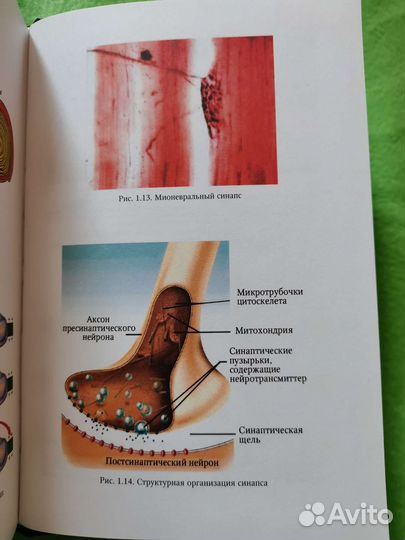 Заболевания и травмы нервной системы