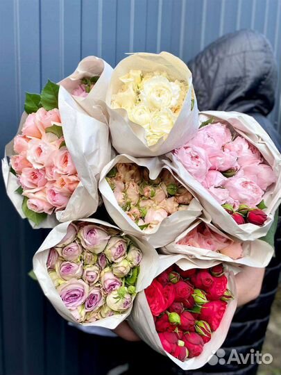 Роза пионовидная кустовая и одноголовая оптом