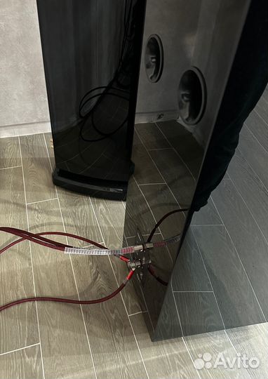 Напольная акустика Legacy Audio Focus SE