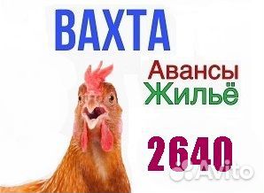 Вахта Упаковщик Еда+Жилье Воронежская область