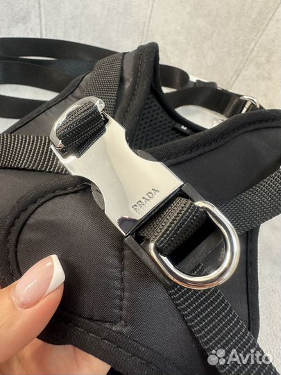 Шлейка для собак Prada XS S M L XL